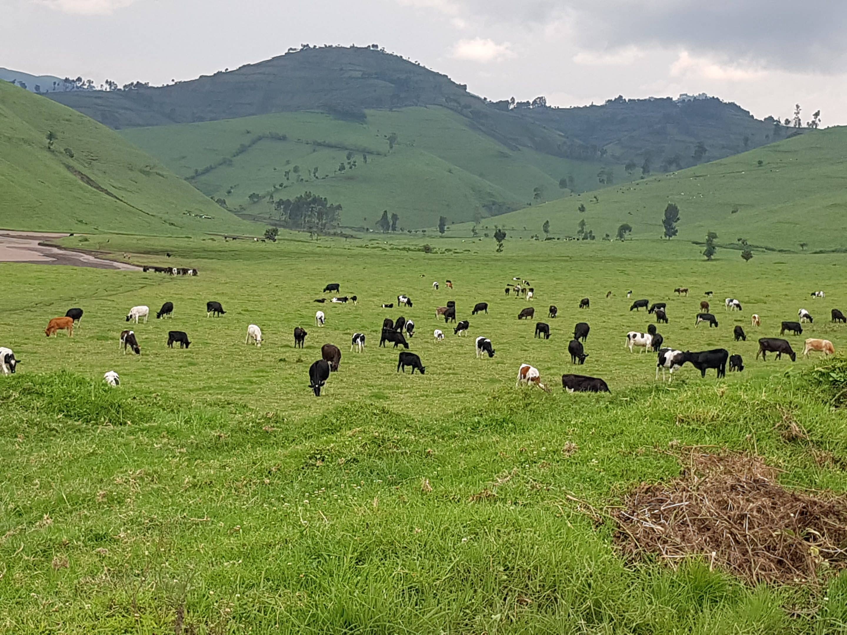 2-curioso-photography-QLOJS4bKNxg-unsplash_