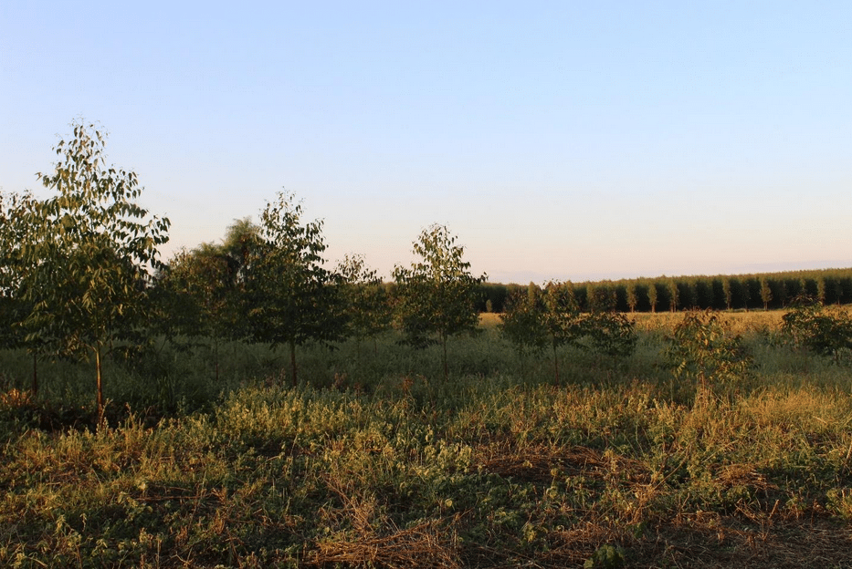 2-curioso-photography-QLOJS4bKNxg-unsplash_