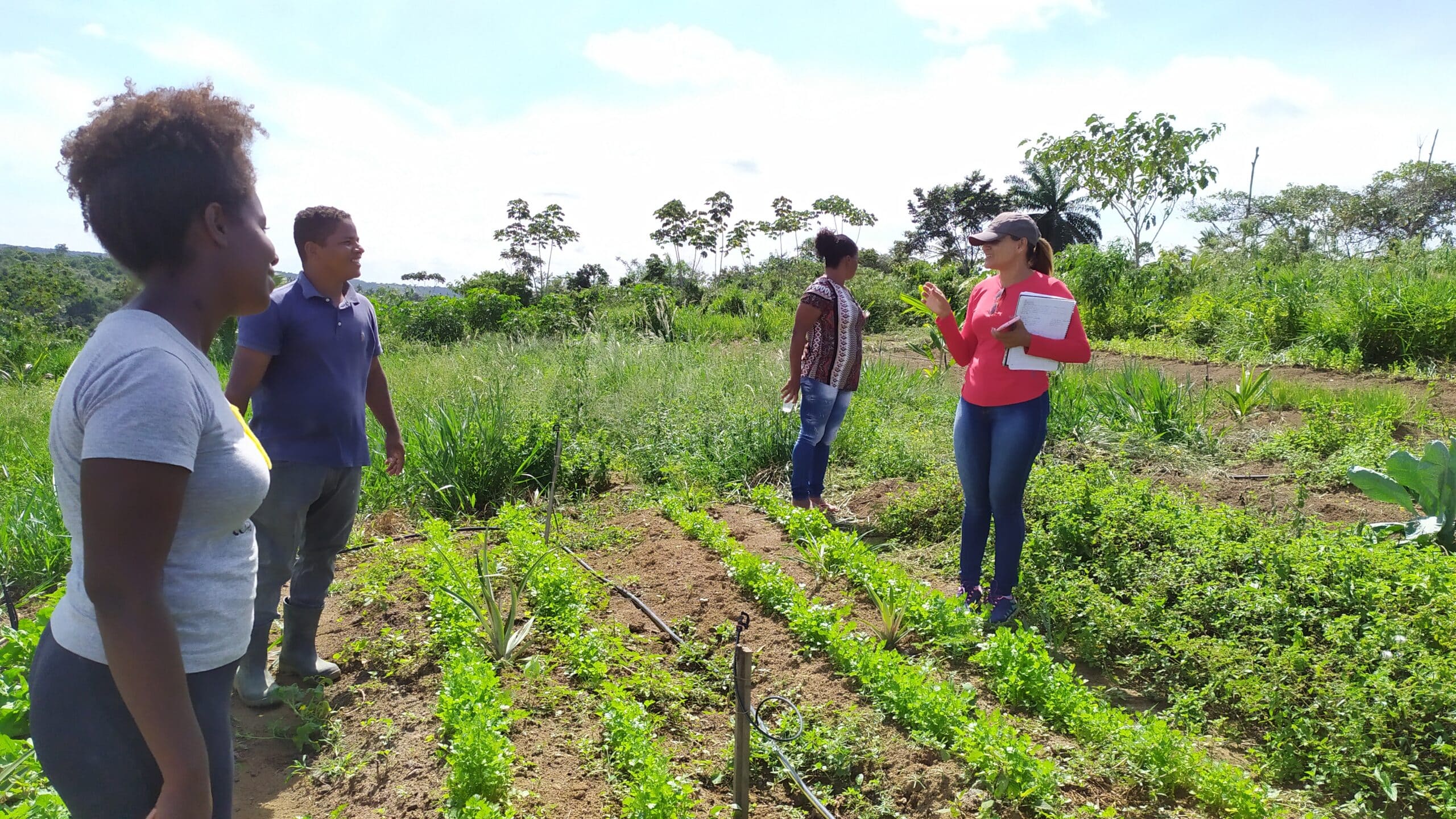 Locally-Led, Globally Impactful: COP30 Must Deliver for Tropical Forests