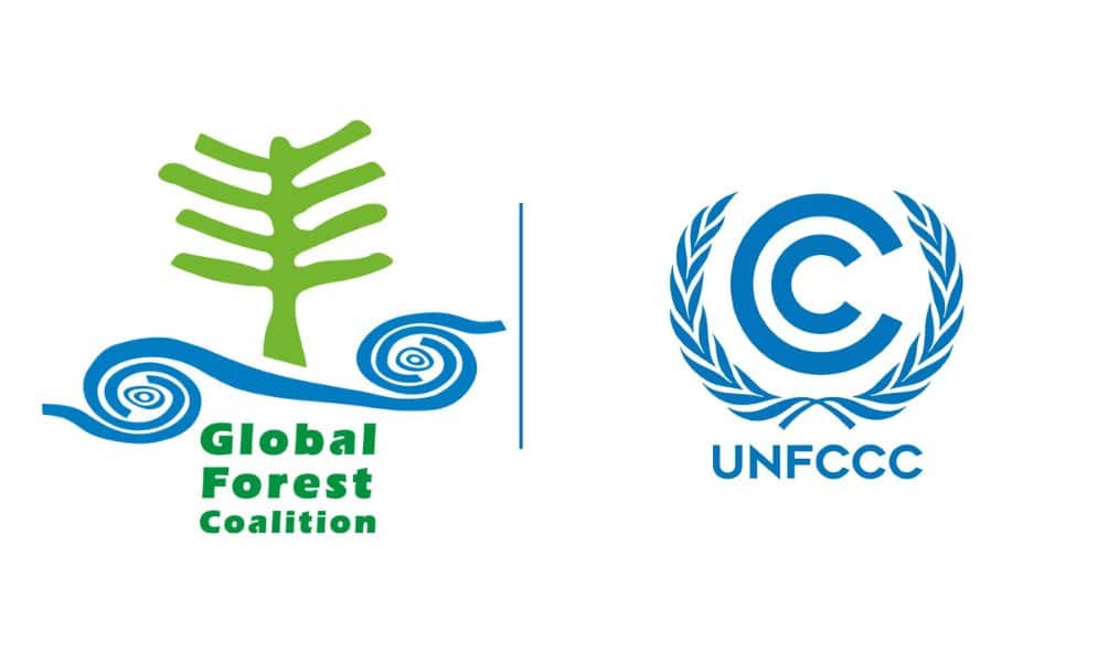 2-curioso-photography-QLOJS4bKNxg-unsplash_