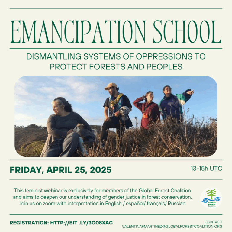 emancipation-school_dismantling systems of oppression