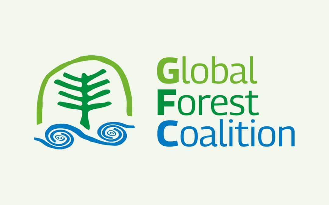 2-curioso-photography-QLOJS4bKNxg-unsplash_