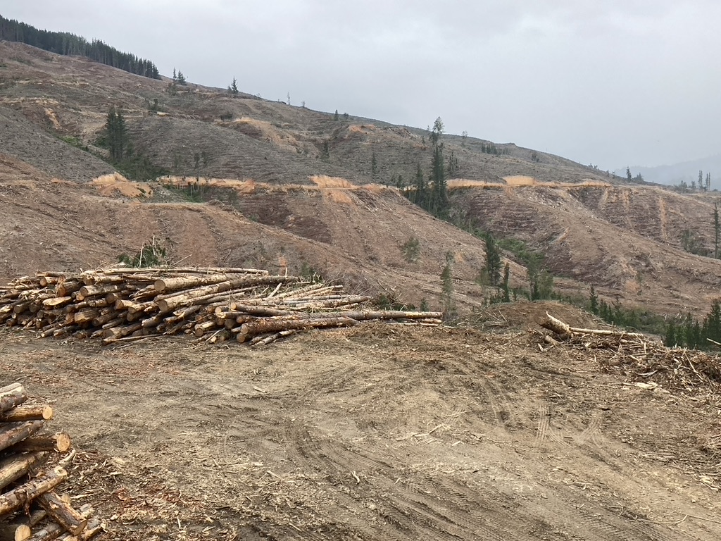 2-curioso-photography-QLOJS4bKNxg-unsplash_