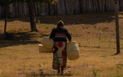 Tierras explotadas, vidas explotadas: Luchas por los bosques, la vida y la justicia de género en el Sur Global
