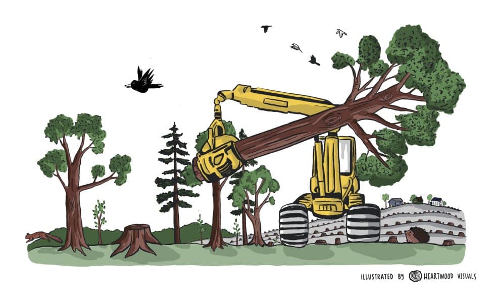 2-curioso-photography-QLOJS4bKNxg-unsplash_