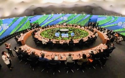 NO to TFFF, YES to Forest Rights